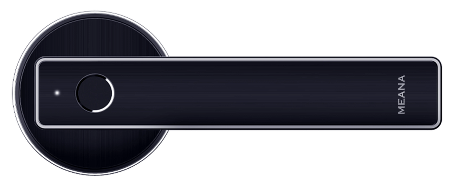 N20 - Meana Image