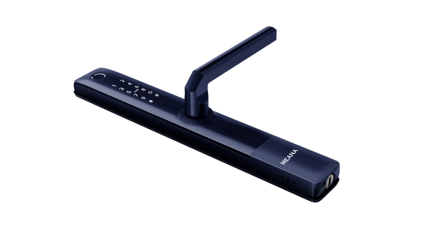 S1 - Meana Image